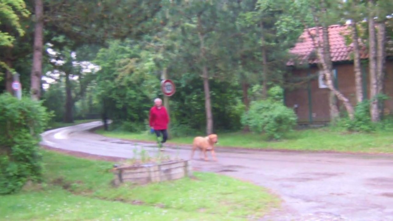 notre caline nous a quitter le 19 / 06 / 2013