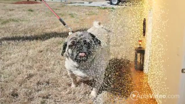 Marne Point at Fort Stewart - Military Housing Apartments in Fort Stewart, GA - ForRent.com