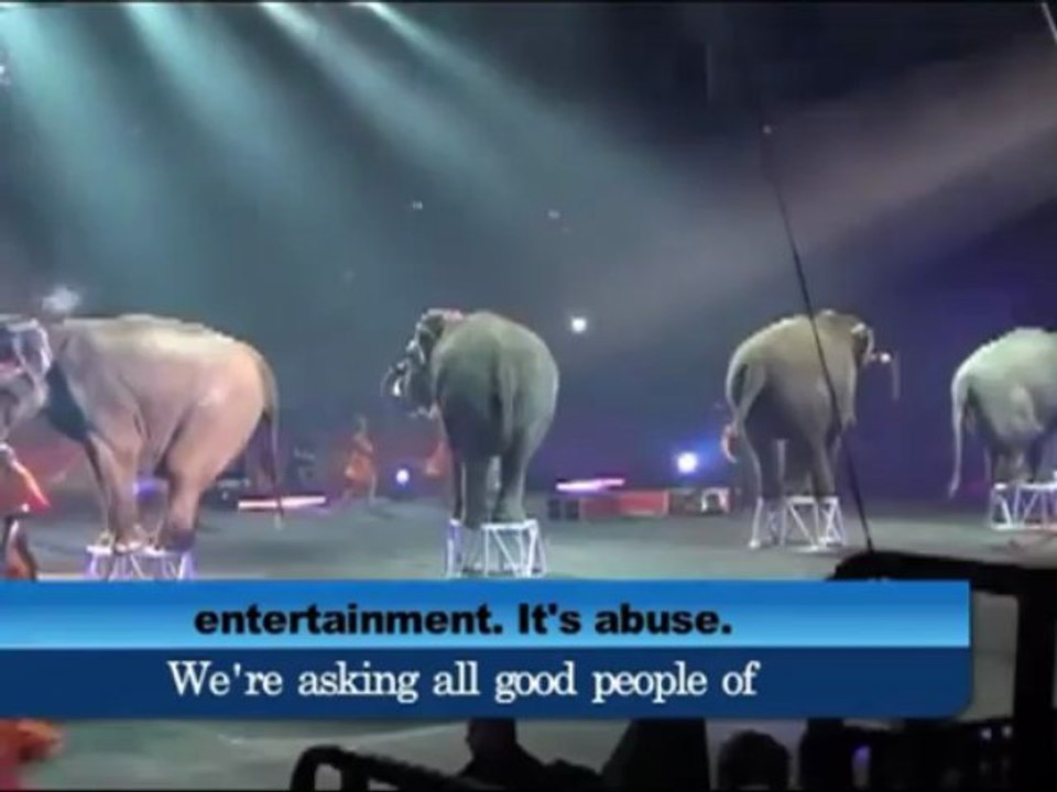 Indian Ocean members get chained