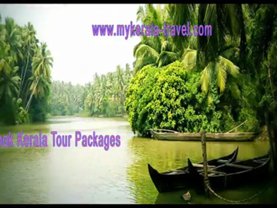Exciting Offers in Kerala Tour Packages