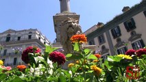 Napoli - L'Ordine dei Commercialisti adotta aiuola in Piazza dei Martiri -2- (20.06.13)