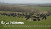 Rhyce Williams- 800 Vaches laitiers 100% a l'herbe -Pays De Galles PâtureSens Interview