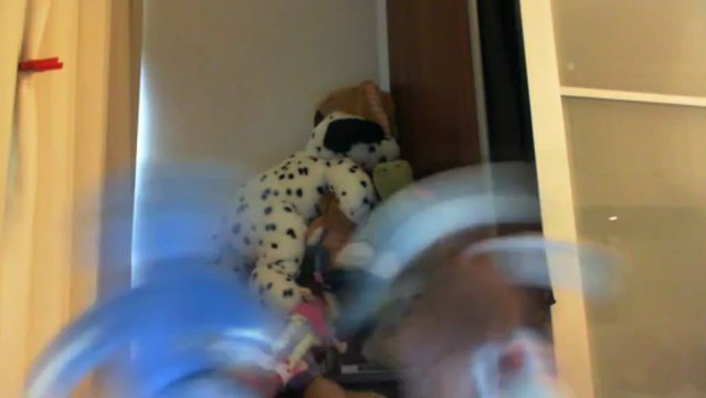 Wiwi muppetshowise kid from red bank de Count Basie