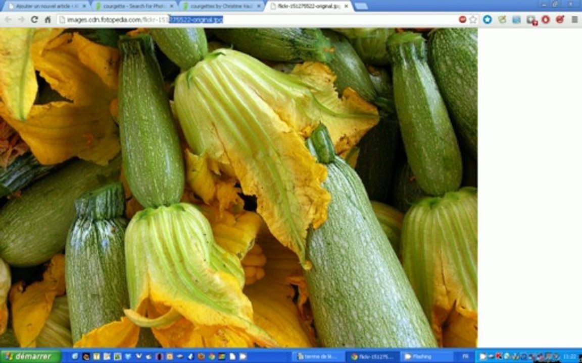 Publier sur un blog wordpress