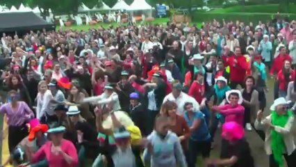 FLASHMOB du CREDIT AGRICOLE de l'Anjou et du Maine (Musique David Guetta)