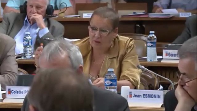 Colette POPARD. Discussion générale. Session du 21 juin 2013.