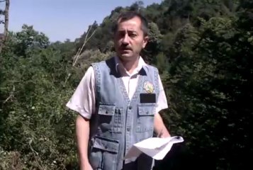 Kaymakam İbrahim Çay YOL