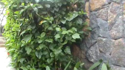 Mauritius Hotel Long Beach Belle Mare D'Eau Douce Osten Mauritius