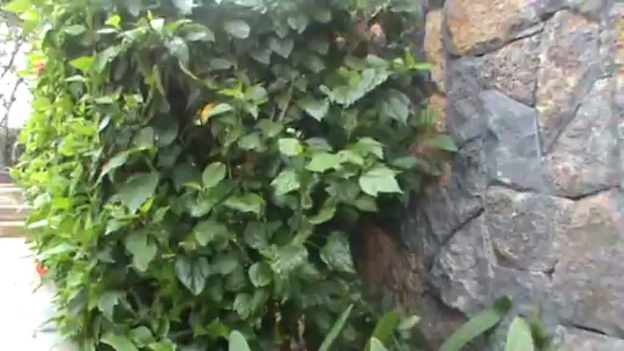 Mauritius Hotel Long Beach Belle Mare D'Eau Douce Osten Mauritius