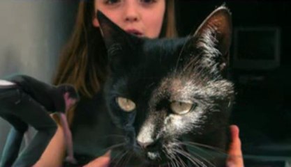 bienvenue (final)-Flux de programme MPEG-2 422, 15 Mbps