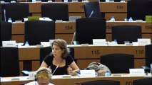 Agrocarburants - présentation des amendements de compromis par Corinne Lepage en commission ENVI