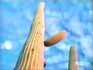 FreakyLinks 1x05 - Desert Squid USA TV Show Full Episode Blair Witch Project Director Eduardo Sanchez