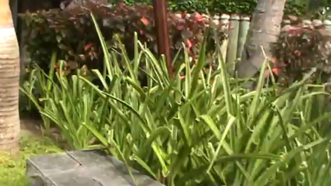 Mauritius Hotel LUX Belle Mare Belle Mare D'Eau Douce