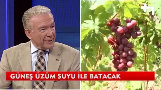 arti bir Ana Haber - Uğur Dündar Bozcada Şarap Yorumu