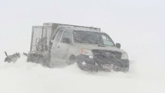 New Zealand battered by intense storms