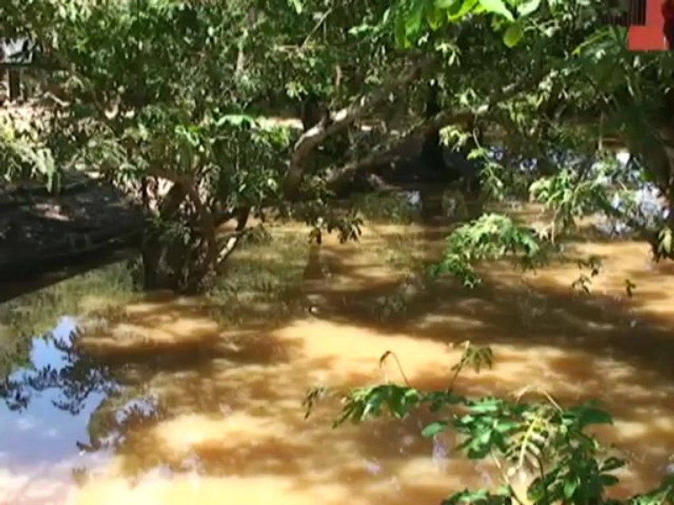 La secretaria de salud municipal realiza pruebas  en los caños y sancudos para detectar posibles focos de dengue