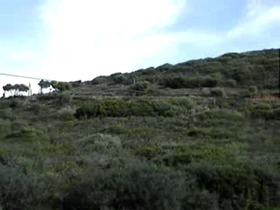 CORSE - Ajaccio "Retour sanguinaires"