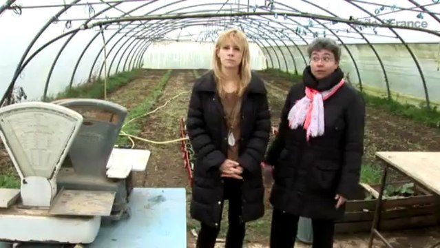 Lycée Sonia Delaunay - Cesson Vert-Saint-Denis (77)