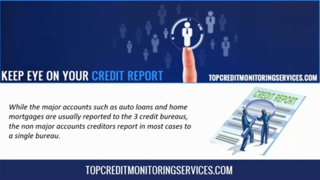 Do the Credit Bureaus provide credit monitoring services