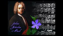 J.S. Bach Sonata no. 4 in C Minor for Violin and Keyboard