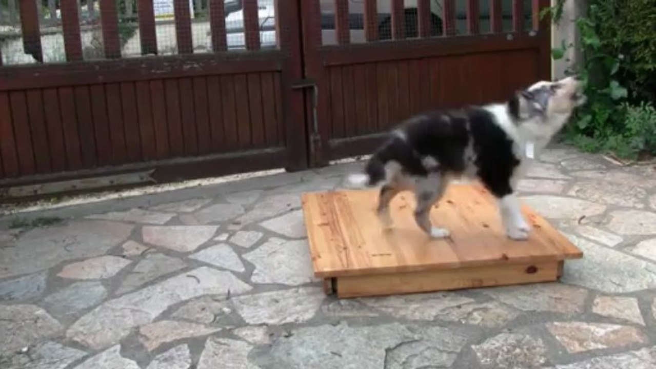 iokko apprentissage table 4 mois et demi