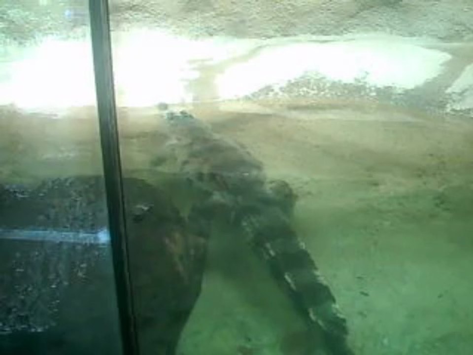 PICT0024