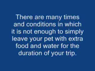 Great Advice For Gently Easing Travel Worries 9