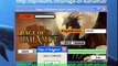 Rage Of Bahamut Hack Tool, Cheats, Pirater for iOS - iPhone, iPad, iPod and Android June - July 2013 Update