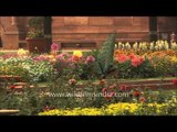 Mughal Gardens: The Charm of President House