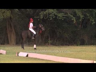 Polo match stunts before the match