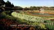 Delhi: Flowers at Full Bloom at Mughal Gardens