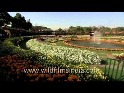 Delhi: Flowers at Full Bloom at Mughal Gardens