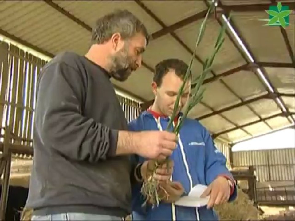 Mon métier : agent de remplacement en agriculture (Sylvain, Sandrine, Julien)