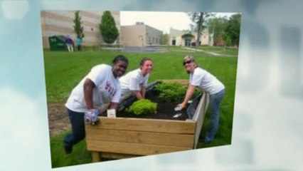 Spruce Up Your Outdoor Space the Easy Way | 1300 724 118