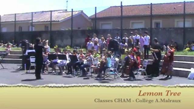 Fête de la musique 13' - Clg MALRAUX - Romans (26100)