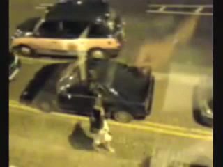 Femme au volant _ De longues minutes pour se garer...