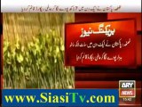 Pak set to make Guinness World Record of planting saplings