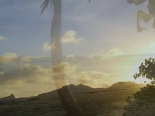 Paradise The Fiji Islands