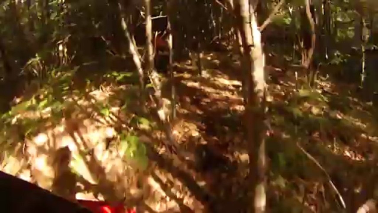 16ème rose d'Antran -  passages techniques et ludiques 1/2