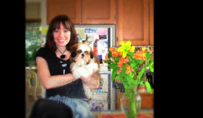 A Gift of Life - Lazarex Cancer Foundation