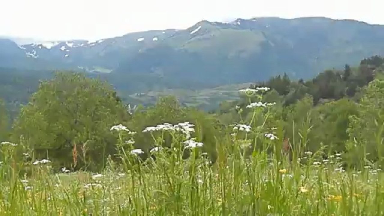 on écoute ...