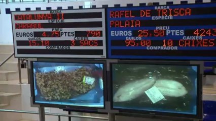 TV3 - GR Terres del sud - Allà on Catalunya s'acaba...o on comença