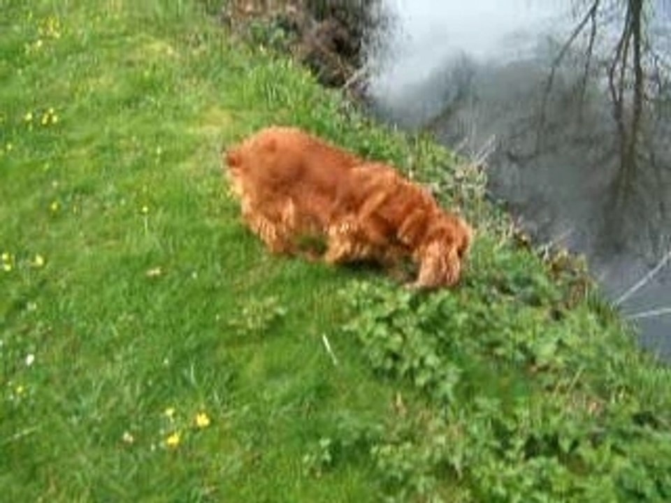 Nalia ( la plus belle :) )