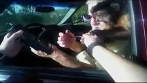 Un policer se fait mordre par un singe