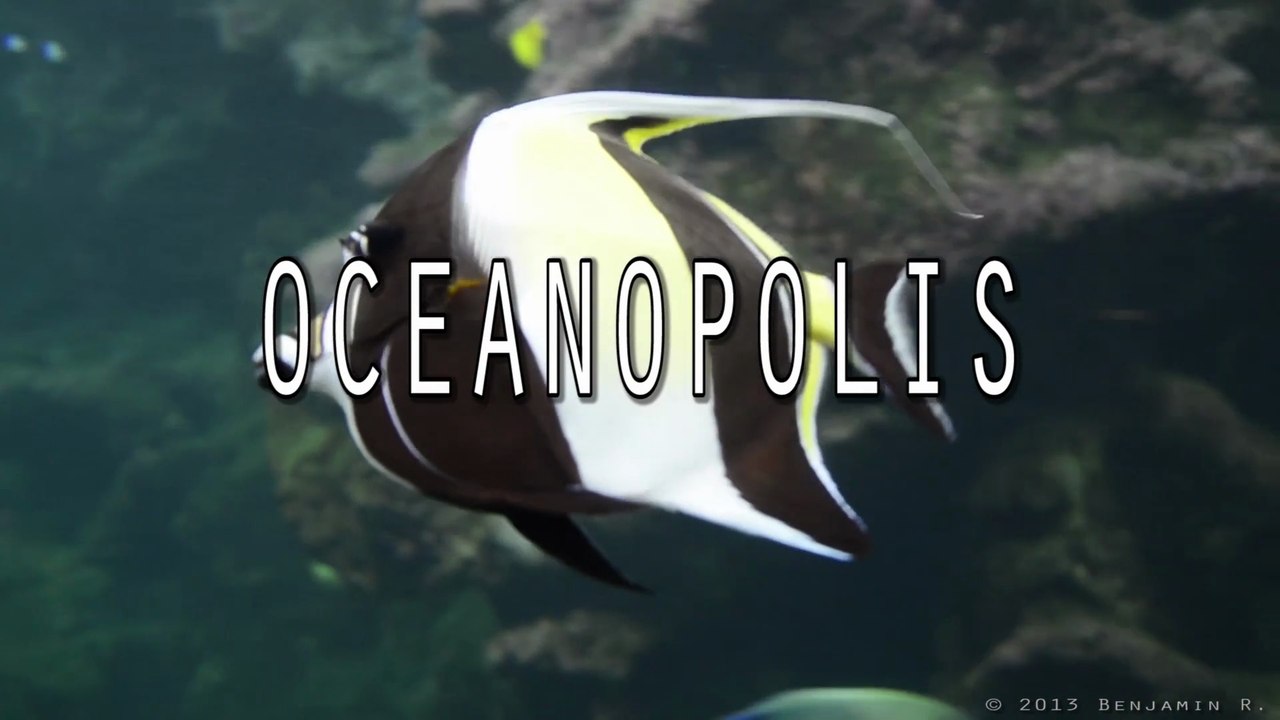Oceanopolis 1080p