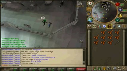 You gotta admit, this looks fun!