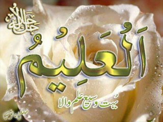 BEAUTIFUL SURAT YASEEN With URDU TRANSLATION