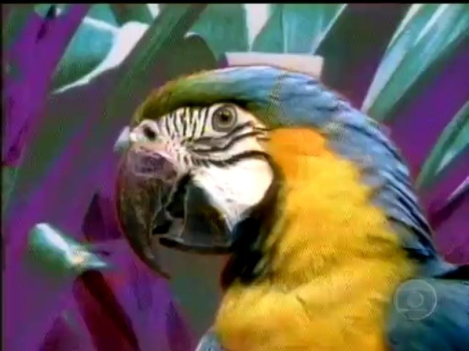 Abertura 1986