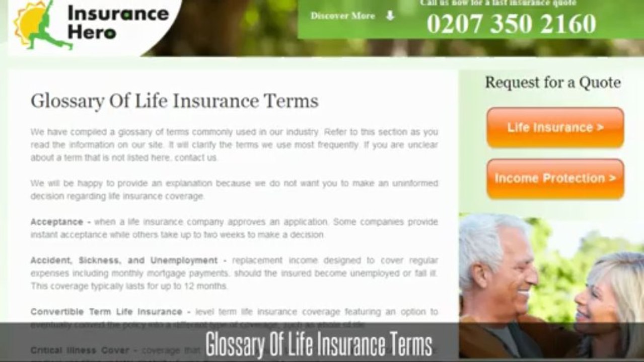 Insurance Hero