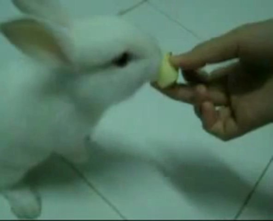 비비카지노 ★★★── JUST78．ＲＯ．ＴＯ ──★★★ 스타카지노